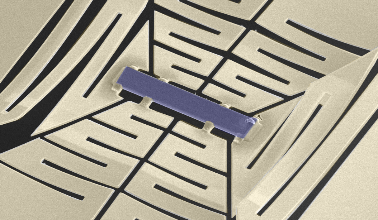 Colourised electron micrograph of a straight purple device on a patterned gold-toned electrode array.