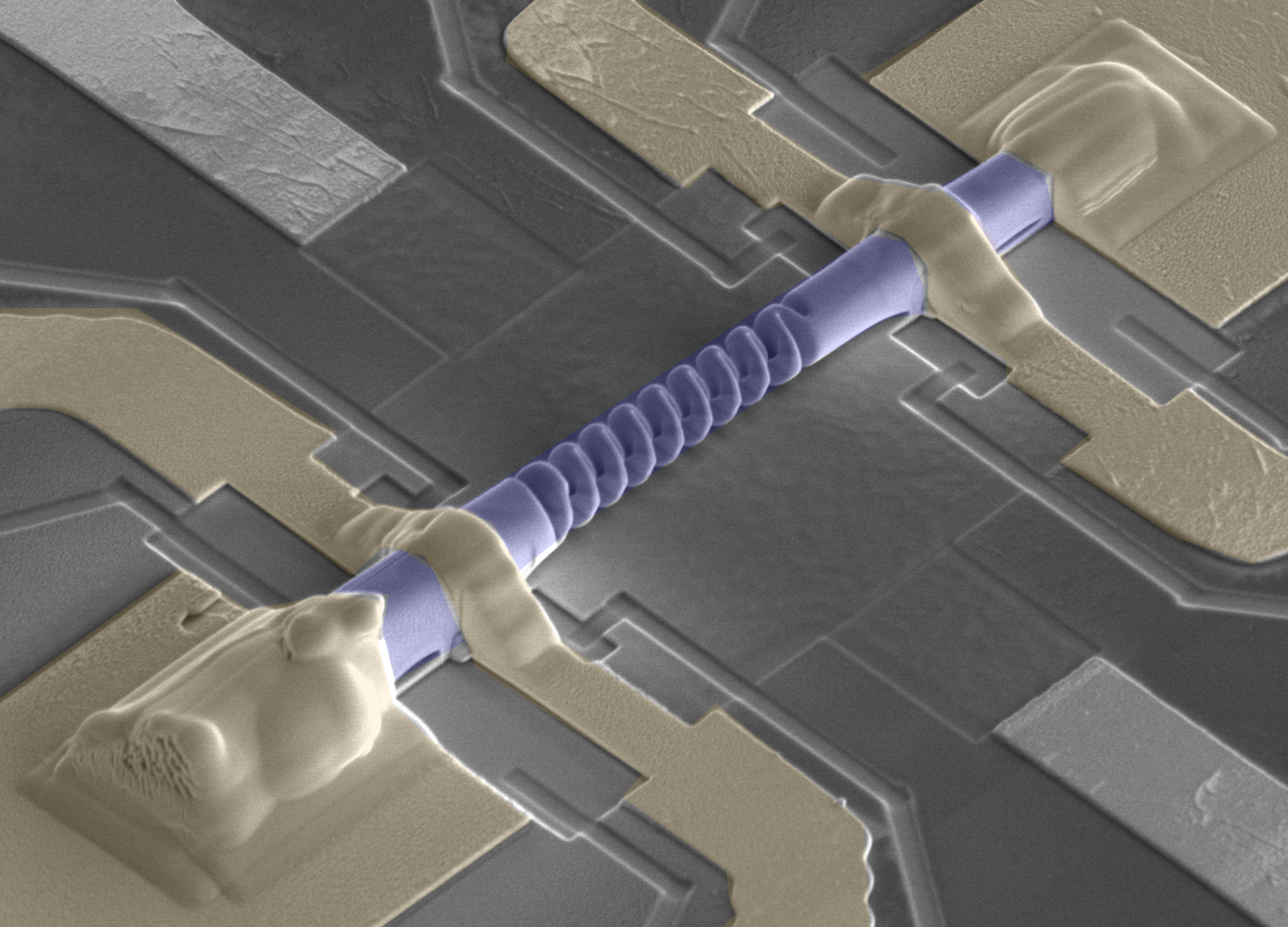Colourised electron micrograph of a purple helical device bridging gold-toned electrical contacts.